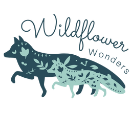 wildflowerwonders.shop